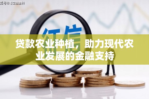 叶城贷款农业种植，助力现代农业发展的金融支持